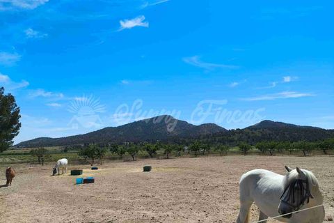 Landejendom i Yecla, Murcia, Yecla - € 219.000 | Ref: SF0531 - foto 27